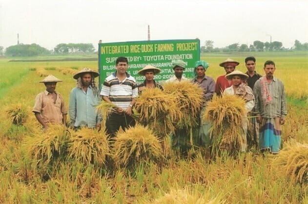 合鴨農法を用いた農地の収穫。バングラデシュ。2009年度アジア隣人プログラム「合鴨農法を取り入れた住民参加手法を通してのバングラデシュの地域の生活改善」