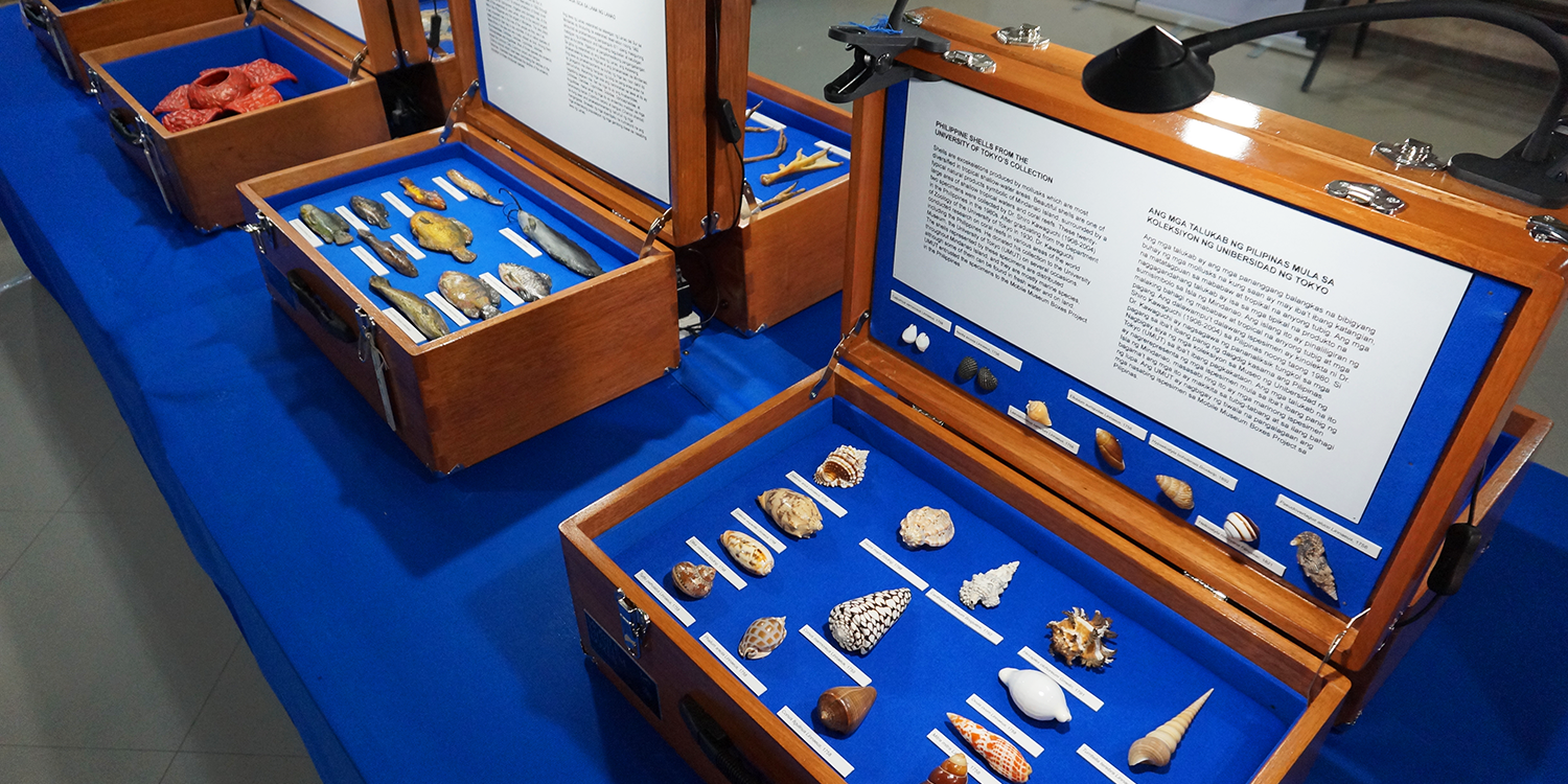 モバイルミュージアムで地方の教育機会を創出し、ジェンダーなどの多様性の要素も加える