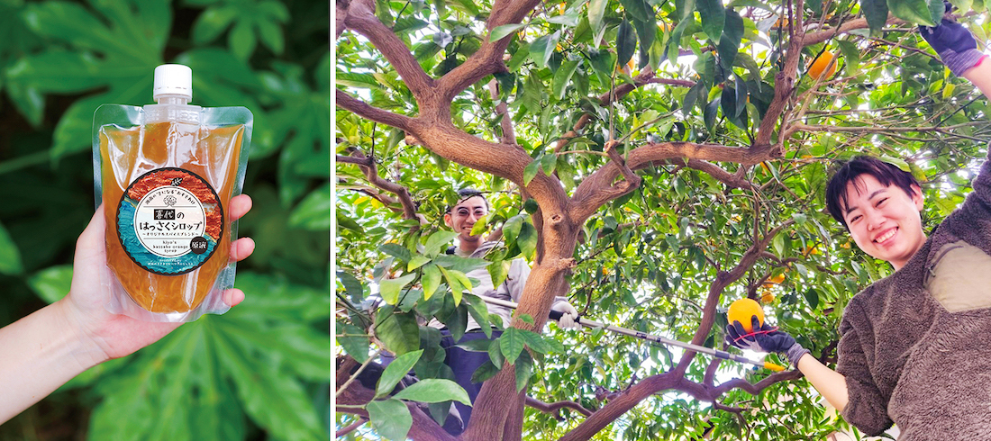 商品化を提案した二人(右)と、完成した「喜代のはっさくシロップ」