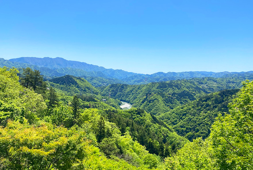 泰阜村