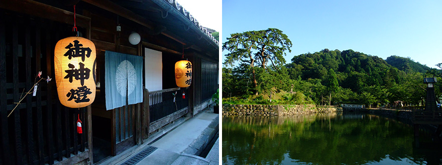 鹿野