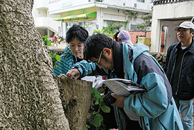 調査を行う李さん（奥）と傳さん、長崎御嶽