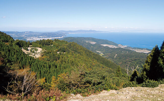 山頂からの眺め