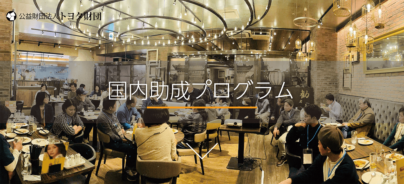 国内助成プログラム