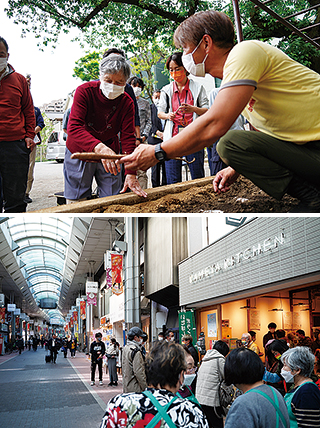 板橋区で行った自然薯栽培と、収穫後にハッピーロード大山商店街で行った販売会の様子