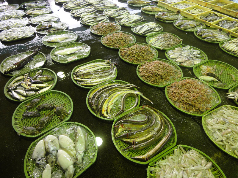 さまざまな魚が並ぶ防府市の魚市場