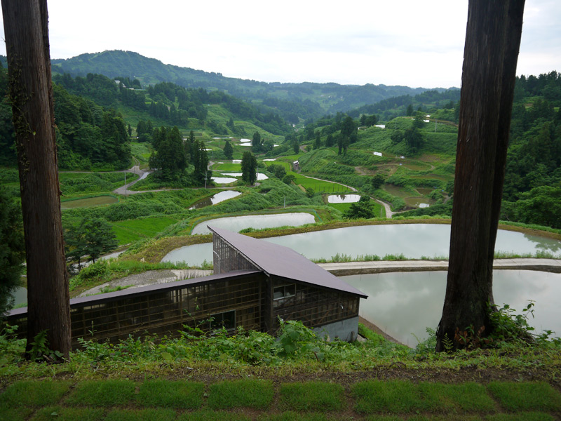 おらたるから木籠に行く道中の眺め