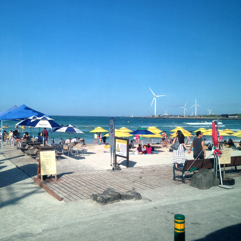 ビーチのすぐ沖にもいくつもの風車を見ることができました