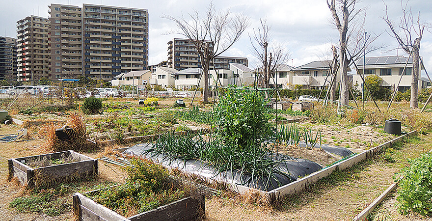 一般住宅タイプのコミュニティガーデン