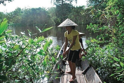 自然豊かな川。インドネシア・カリマンタン。2009年度アジア隣人プログラム助成対象者の活動地