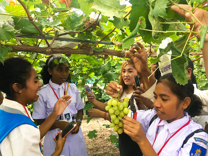校内で栽培しているぶどうを収穫。2017年度国際助成プログラム「楽しい農業 ―演劇ワークショップでアジアの農村をつなぐ」（2020年9月）