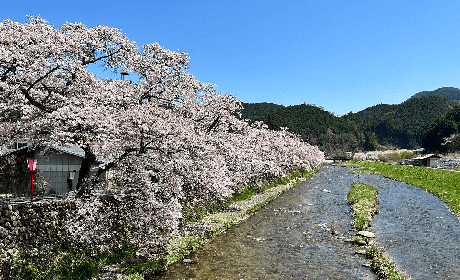 Minna no Shūraku Kenkyūjo