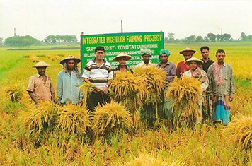 合鴨農法。バングラデシュ