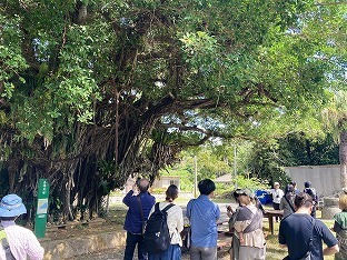 嘉陽区